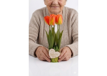 tulipany dla babci