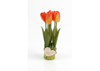 tulipany pomarańczowe