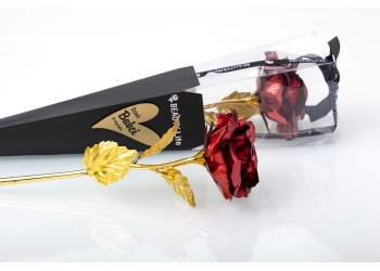 czerwono - złota róża w rożku